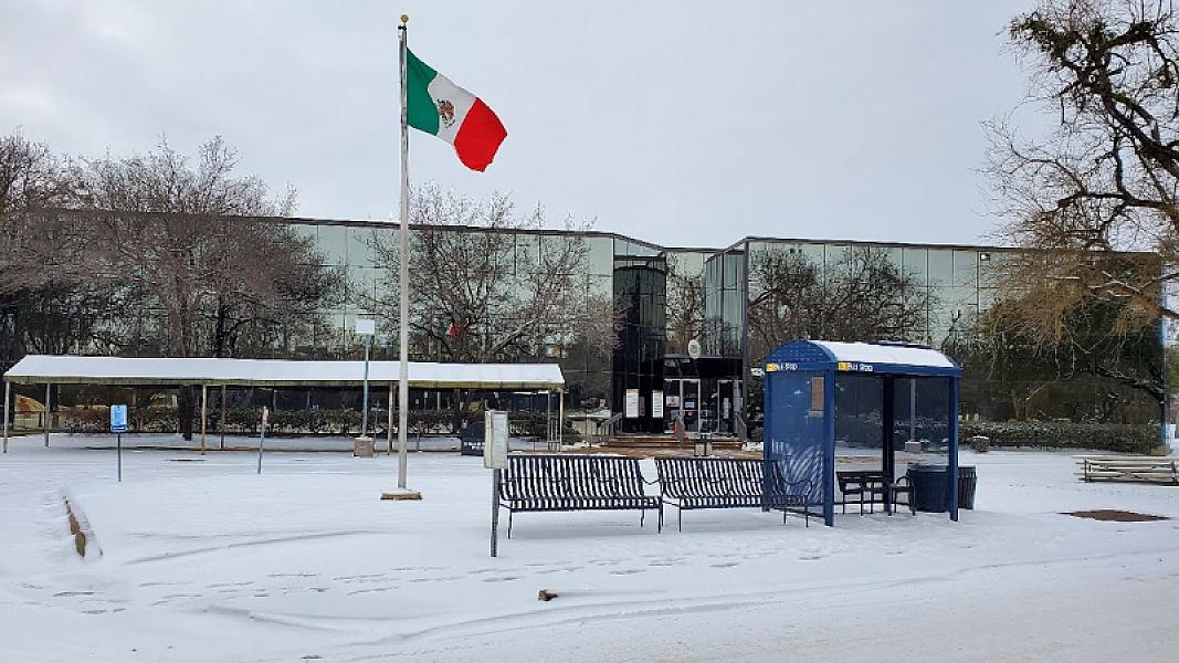 Mexican Consulate