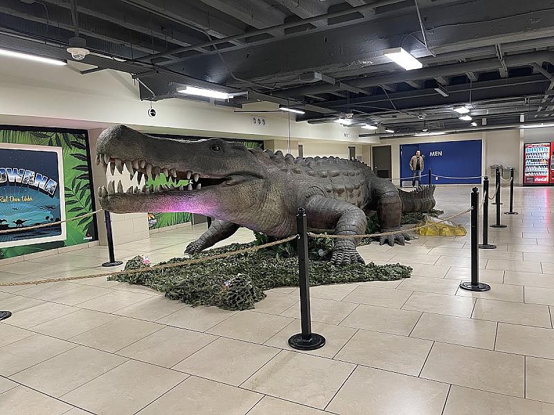 Dinosaur Quest