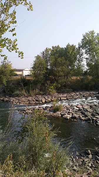 Families First Colorado