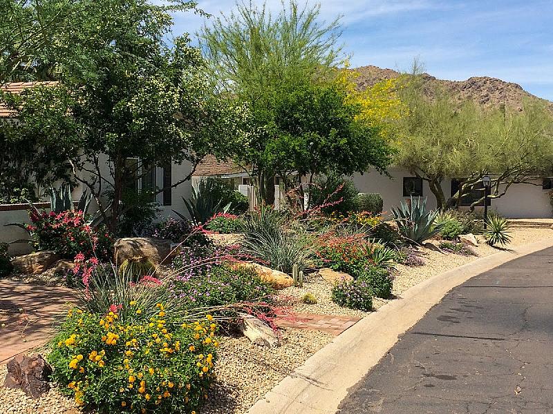 Nevada Scenic Design
