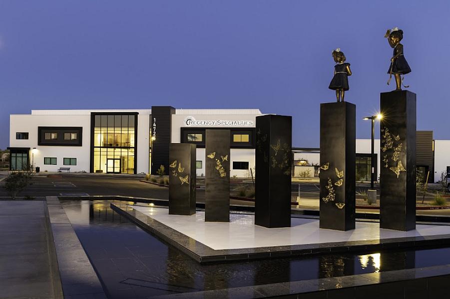 Regency Medical Aesthetics