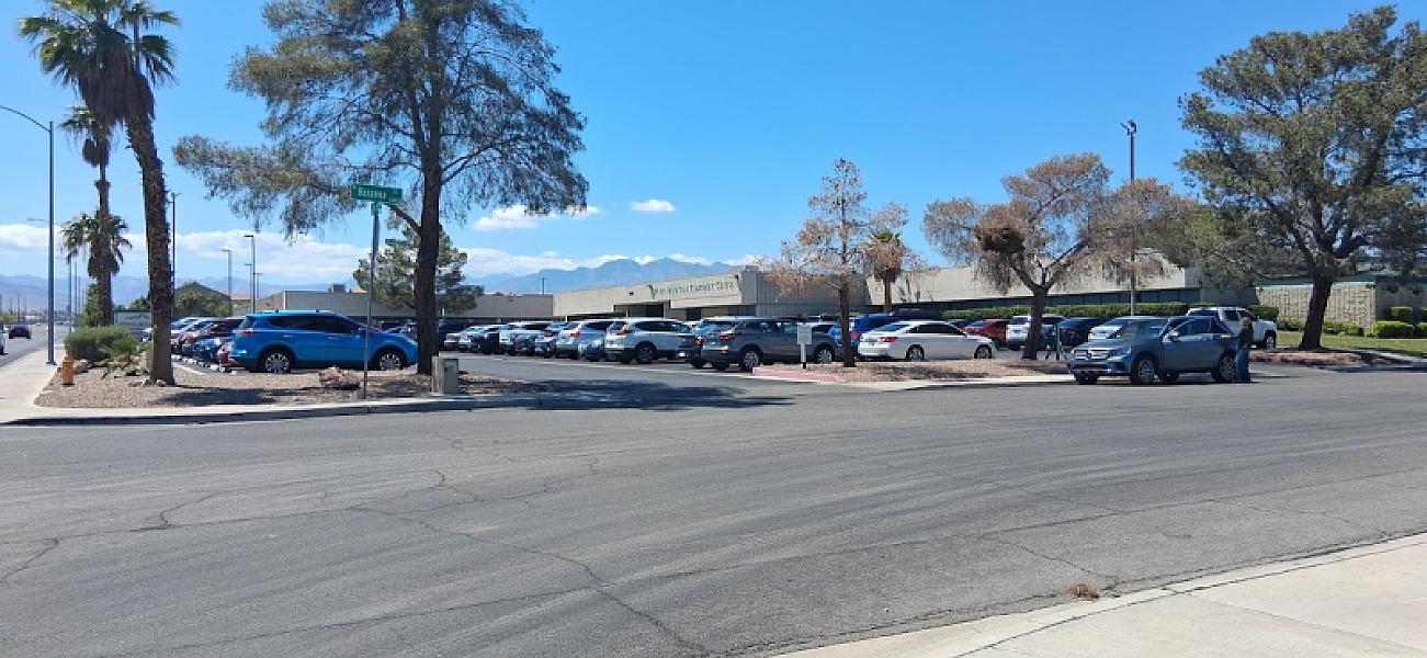 Spring Mountain Treatment Center