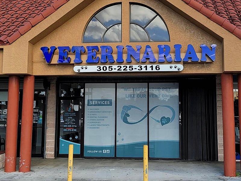 Dream Lake Animal Hospital