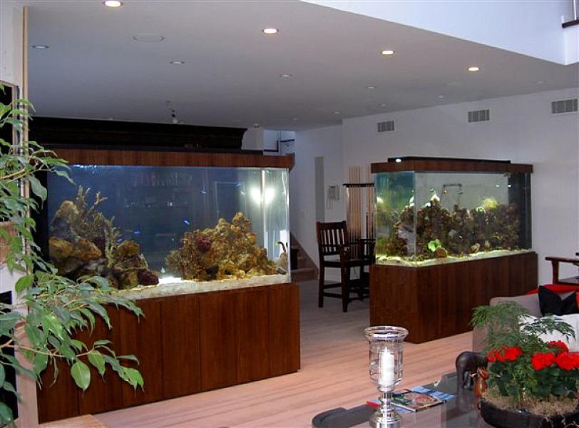 Aquarius Aquarium Services