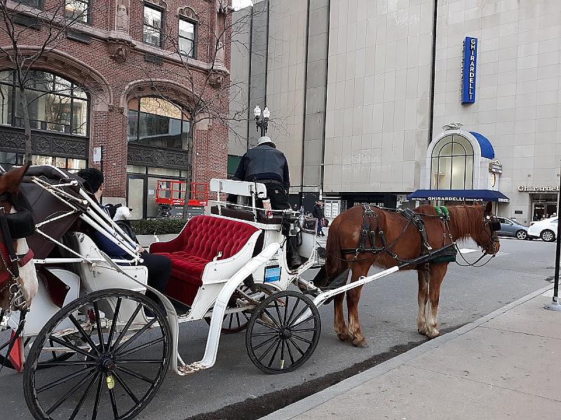 Antique Coach And Carriage