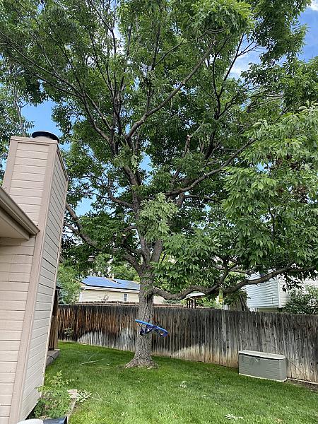 Affordable Tree Zervices LLC