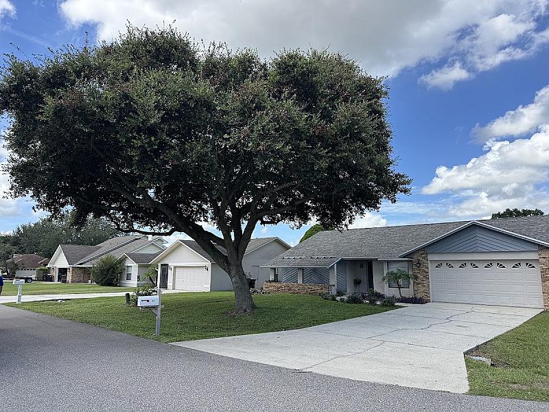 Precision Tree and Outdoor Services