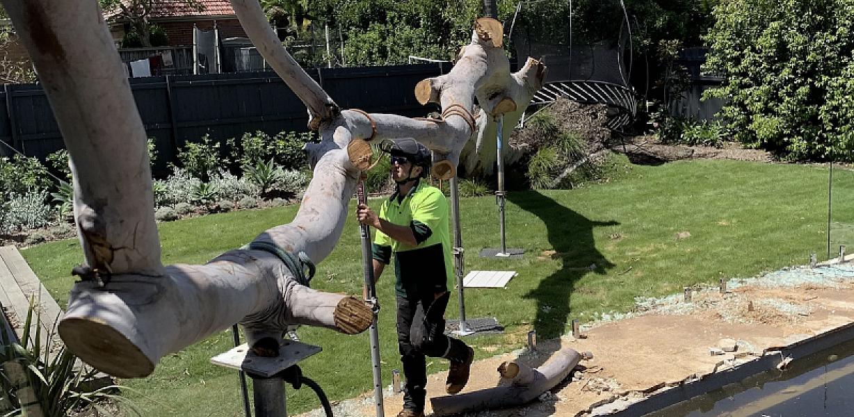 Arbor Co Tree Services