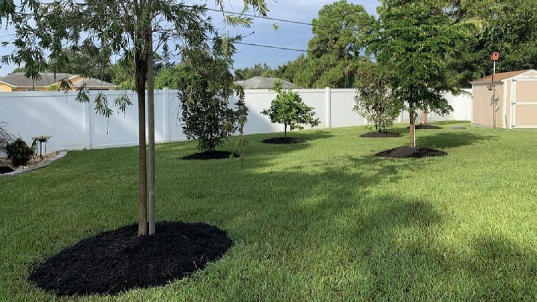 Signature Home Lawn and Pest Control