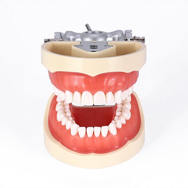 Artisan Dental Laboratory