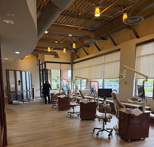 Weddle Orthodontics
