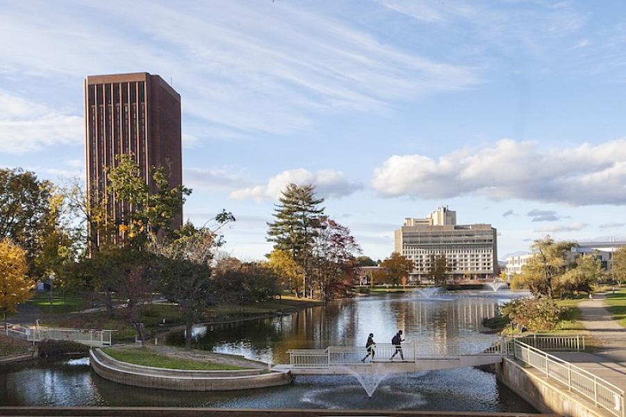 University of Massachusetts
