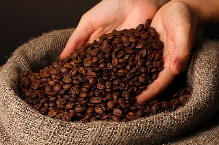 Sirness Coffee Services