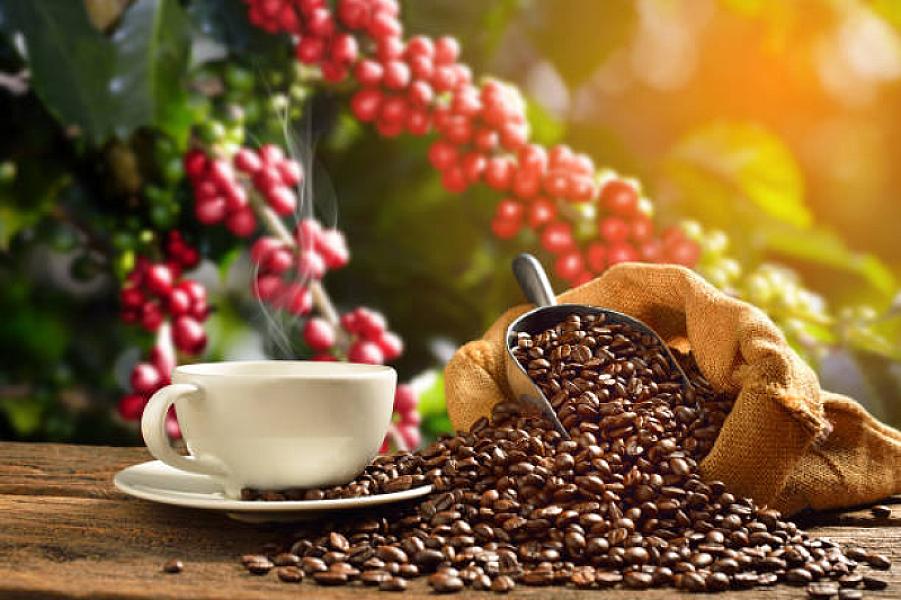 Apffels Gourmet Coffee