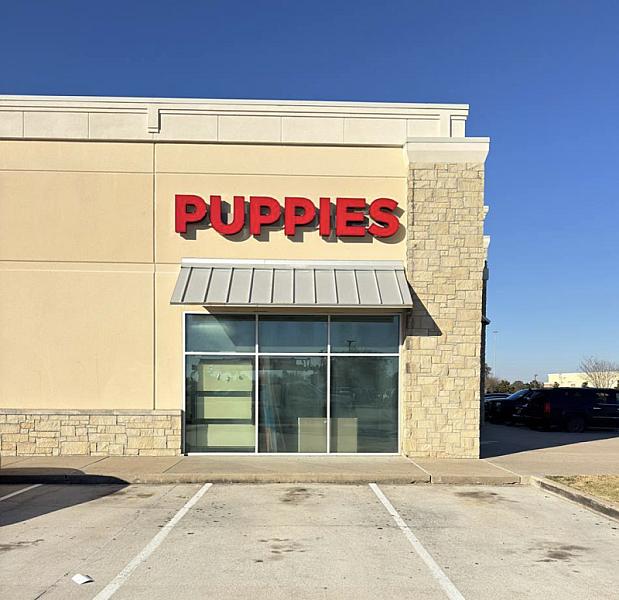 Texas Puppies for Sale