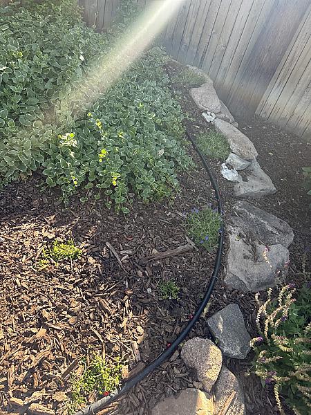 Apex Irrigation