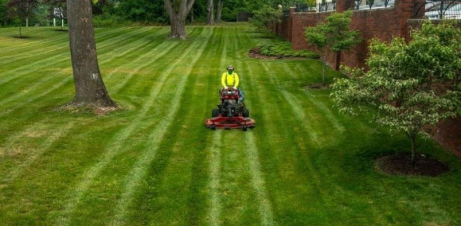 How to Choose the Right Landscaping Company for Your Yard