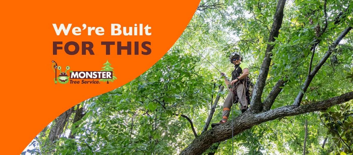 Monster Tree Service of North Metro Denver