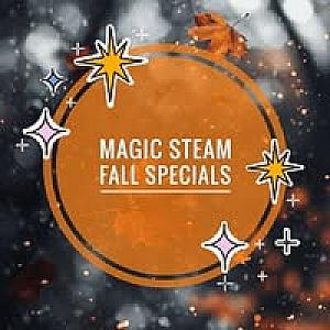 Magic Steam Carpet Cleaning