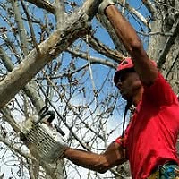 John Egart's Tree Service
