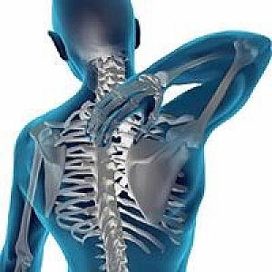 Maximized Health Chiropractic