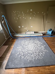 SaraCares Carpet & Upholstery Cleaning New WestminsterSaraCares Carpet & Upholstery Cleaning New Westminster