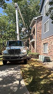 LCM Tree Services LLC