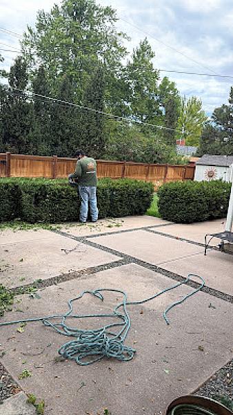 LCM Tree Services LLC