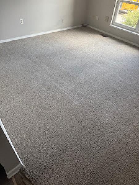 Steve's Carpet Care - Carpet Cleaning and Restoration