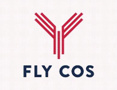 Colorado Springs Airport
